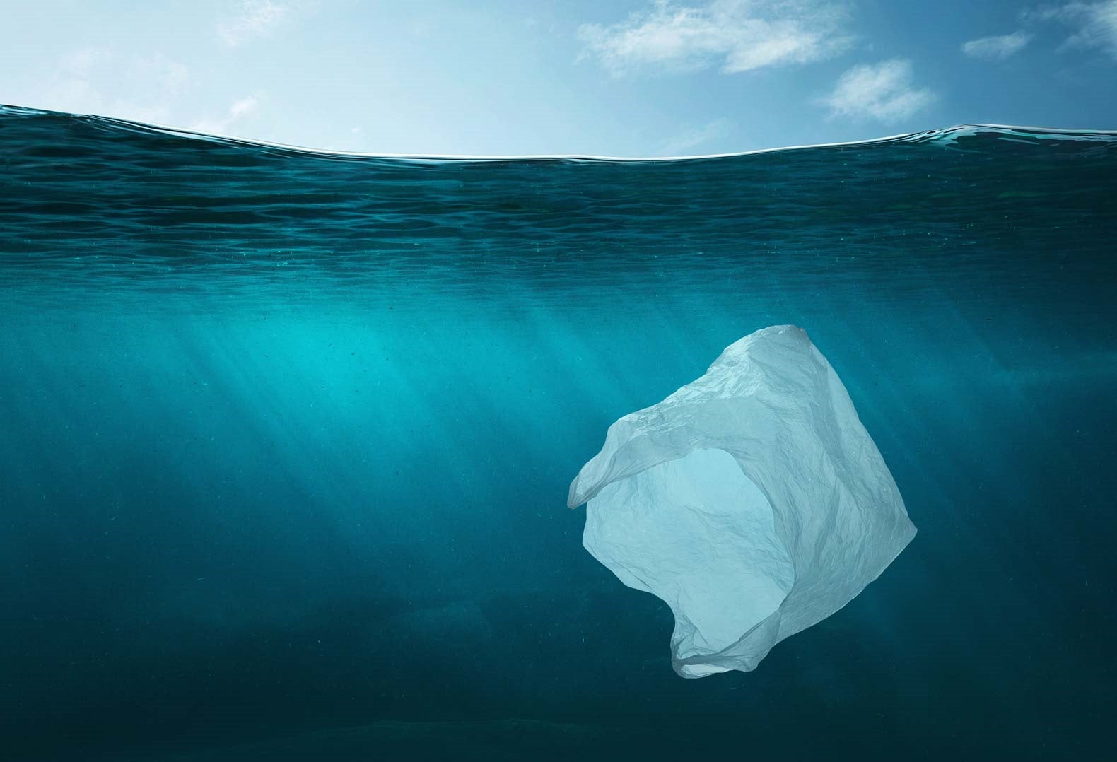 「生物可分解」包裝袋